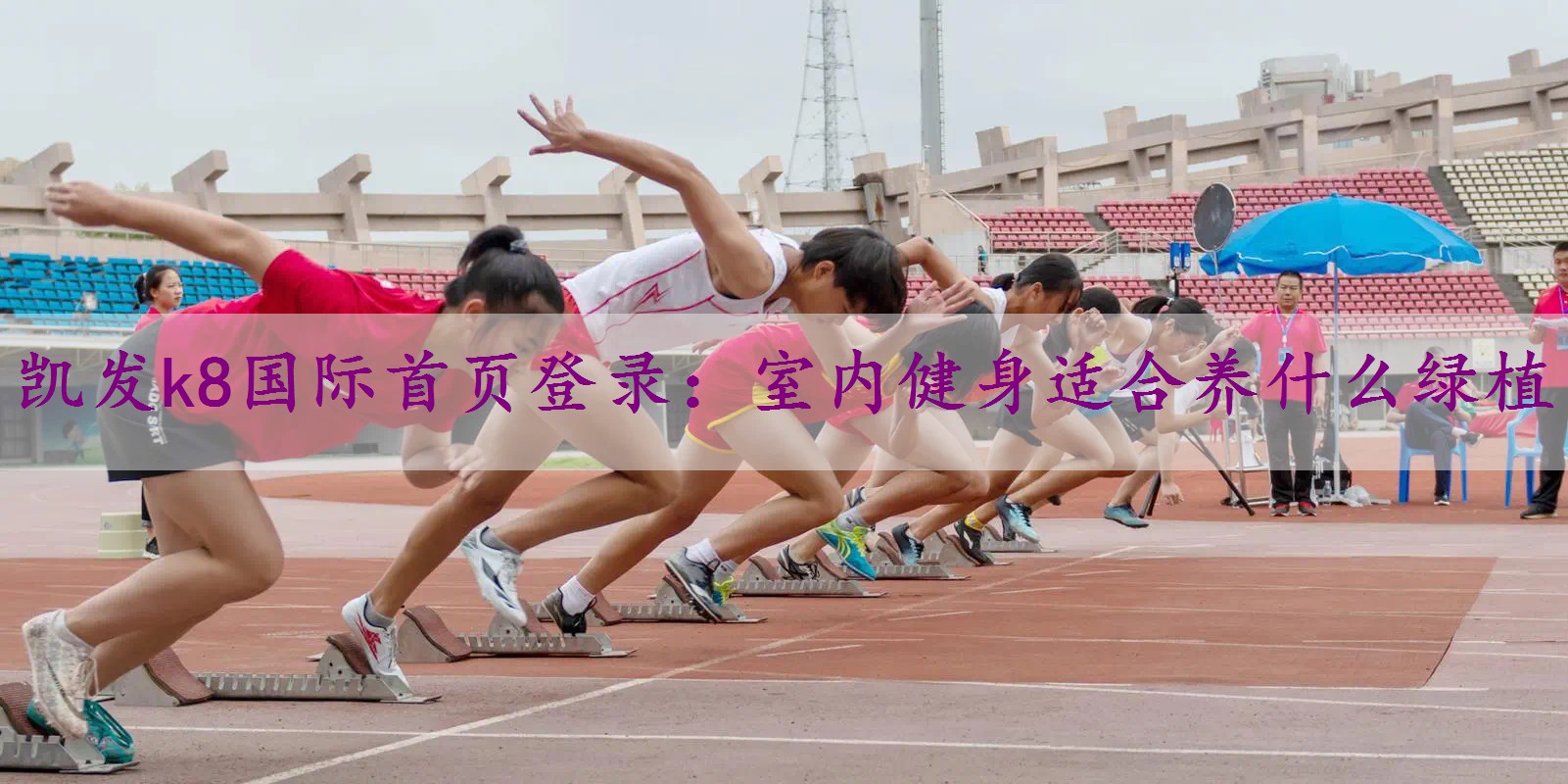 室内健身适合养什么绿植