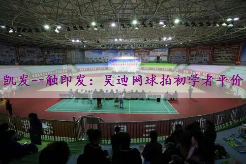 吴迪网球拍初学者平价