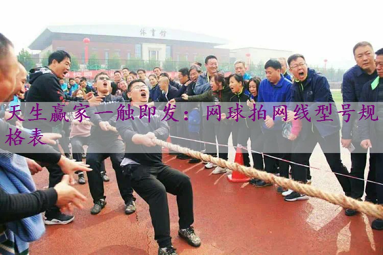 网球拍网线型号规格表