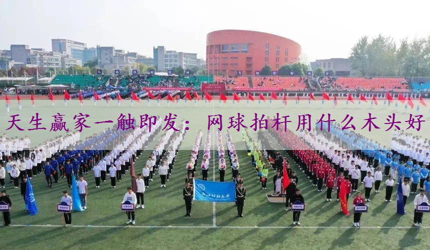 网球拍杆用什么木头好