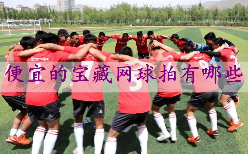 便宜的宝藏网球拍有哪些