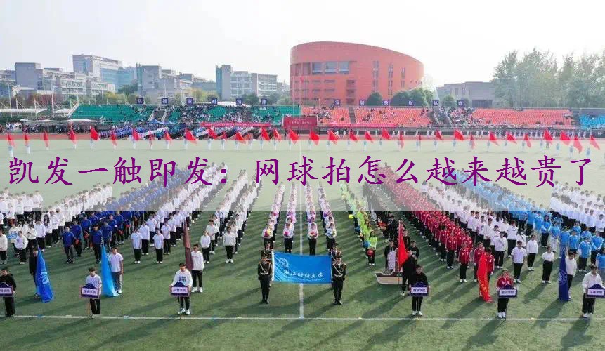 网球拍怎么越来越贵了