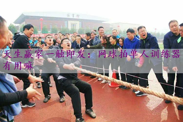 网球拍单人训练器有用嘛