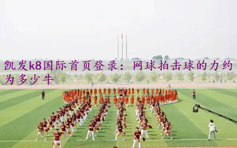网球拍击球的力约为多少牛