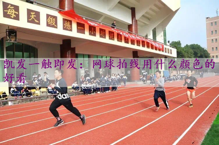 网球拍线用什么颜色的好看