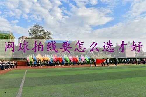 网球拍线要怎么选才好